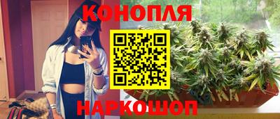 индика Севастополь