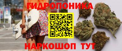 индика Севастополь
