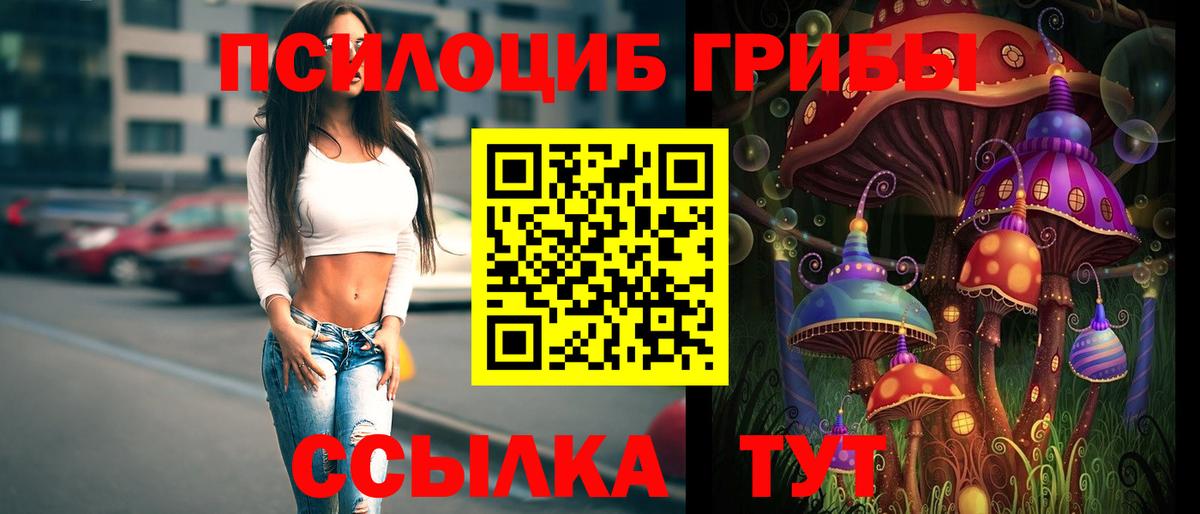 Псилоцибиновые грибы Magic Shrooms Орск