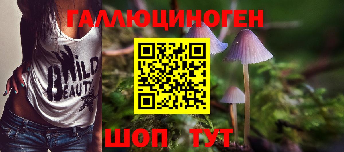 Орск  Галлюциногенные грибы мухоморы  Вход с VPN 